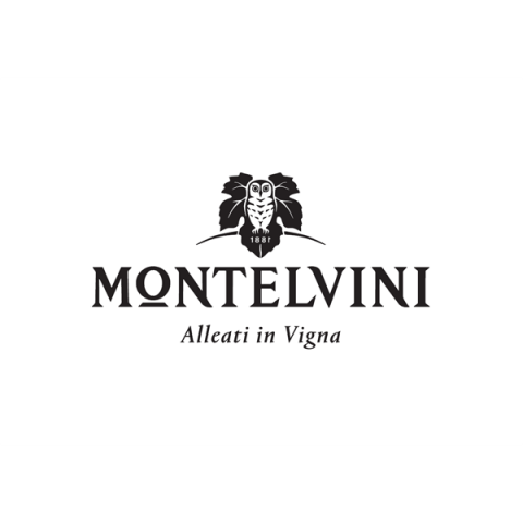 Montelvini