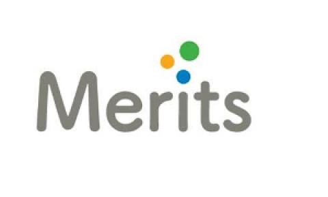 logo_merits