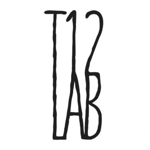 T12-Lab