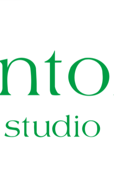 VintolaStudio 